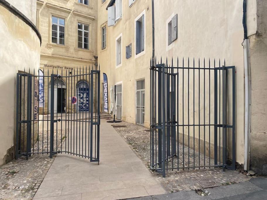 Charmant T2 37M2 - Agora Ecusson Montpellier Exterior foto